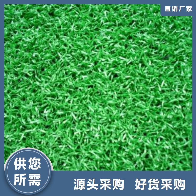 【人造草坪,塑胶跑道库存齐全厂家直供】本地生产厂家