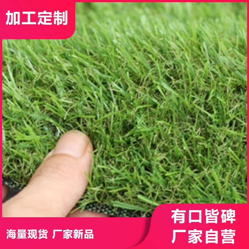 人造草坪【同质透心地材】品牌大厂家实力厂家直销