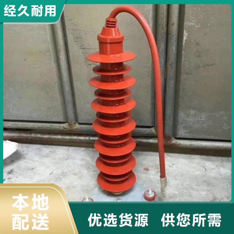氧化锌避雷器高压保险丝保险管严格把控质量当日价格