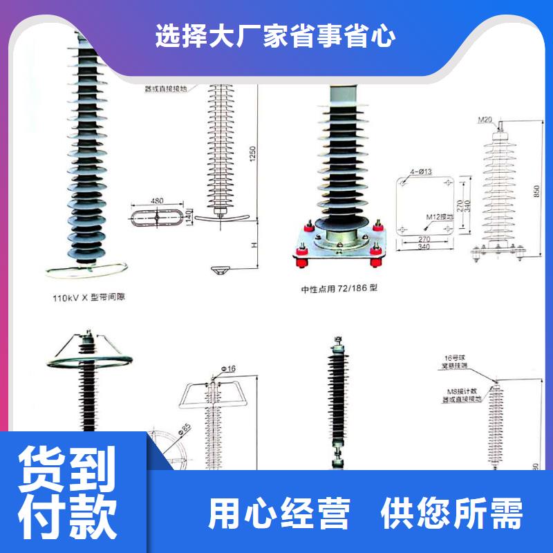 氧化锌避雷器,HY5WS-17/50避雷器现货实拍多年实力厂家