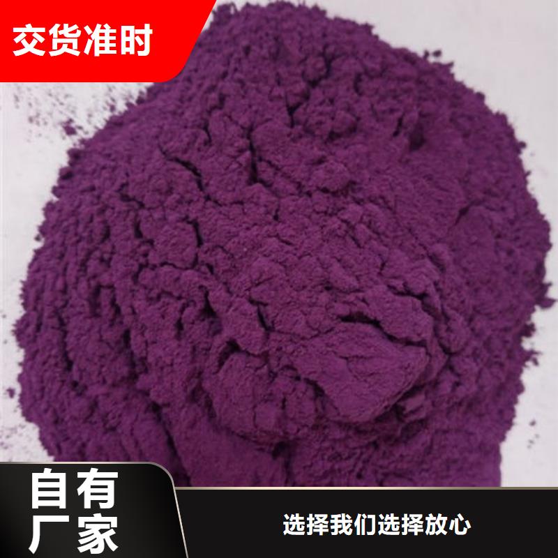 紫薯粉灵芝菌种源厂供货同城货源
