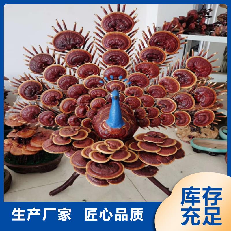 灵芝孢子粉灵芝破壁孢子粉省心又省钱工厂直销