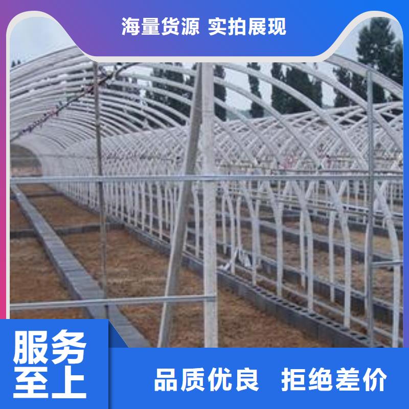 大棚管蔬菜温室大棚管工程施工案例工厂直销