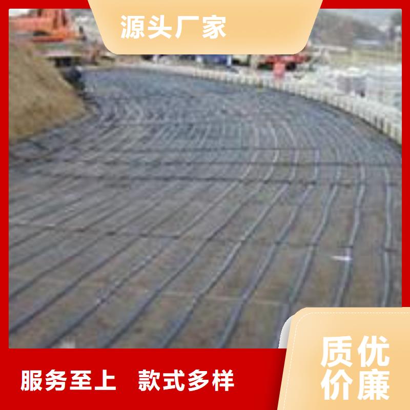 单向塑料土工格栅【土工格室】厂家直销大量现货<当地>经销商