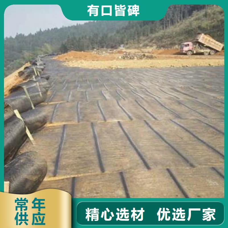 单向塑料土工格栅-玻纤土工格栅用途广泛{本地}公司