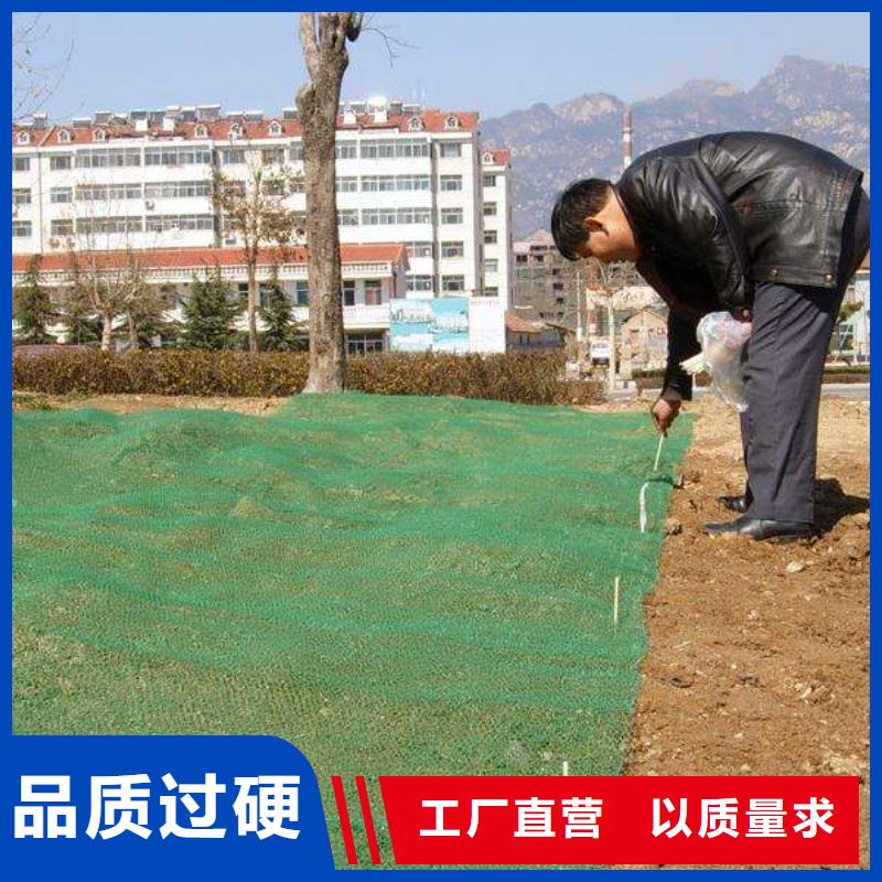 【三维植被网凸结点钢塑土工格栅质量检测】[本地]制造商