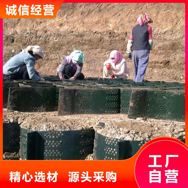 土工格室塑料土工滤网使用寿命长久【本地】厂家