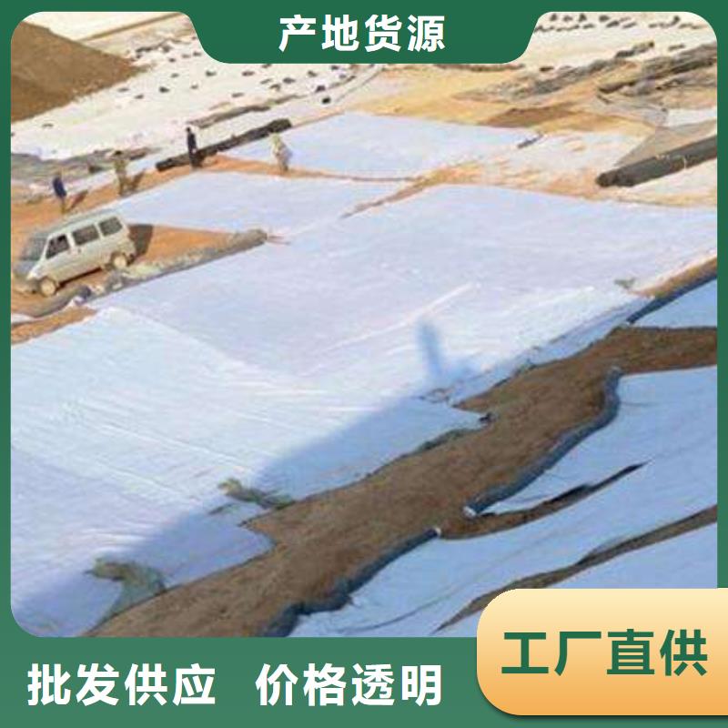 膨润土防水毯双向拉伸塑料格栅厂家直销值得选择本地生产商