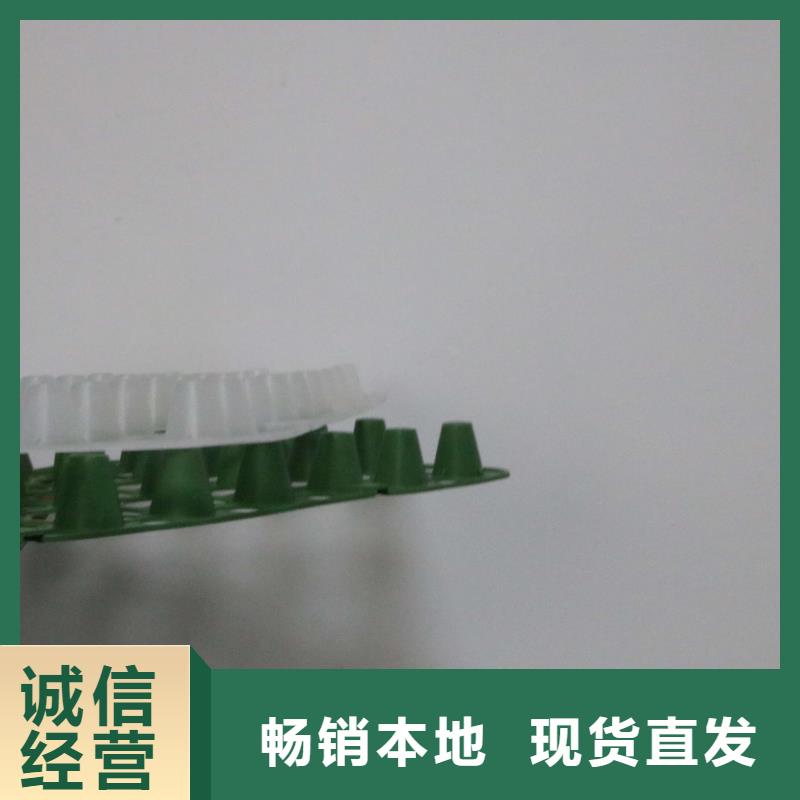 排水板【土工格室】核心技术用好材做好产品