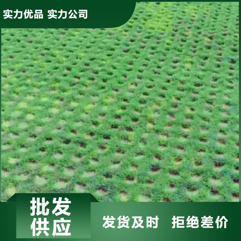 【植草格凸结点钢塑土工格栅实力公司】厂家直销货源充足