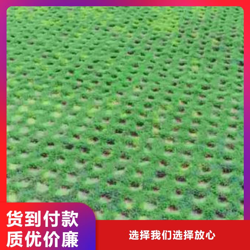 植草格复合土工膜品质有保障省心又省钱