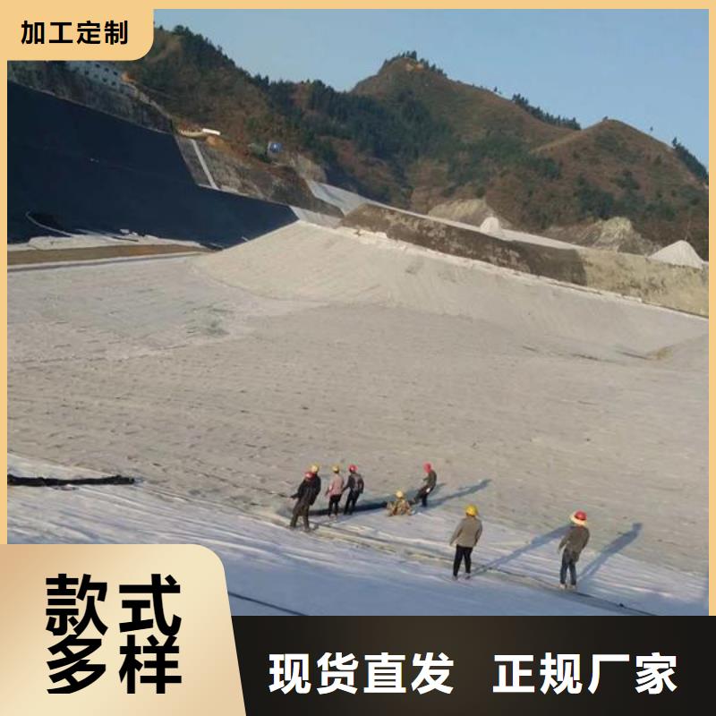 膨润土防水毯,塑料土工格栅专业的生产厂家当地生产厂家