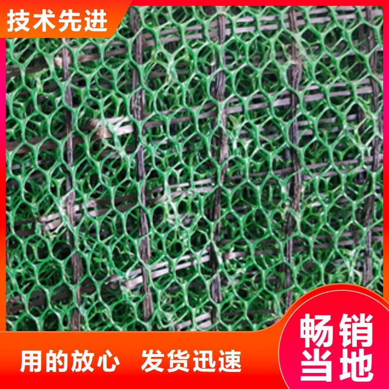 三维植被网土工格室用途广泛一站式厂家