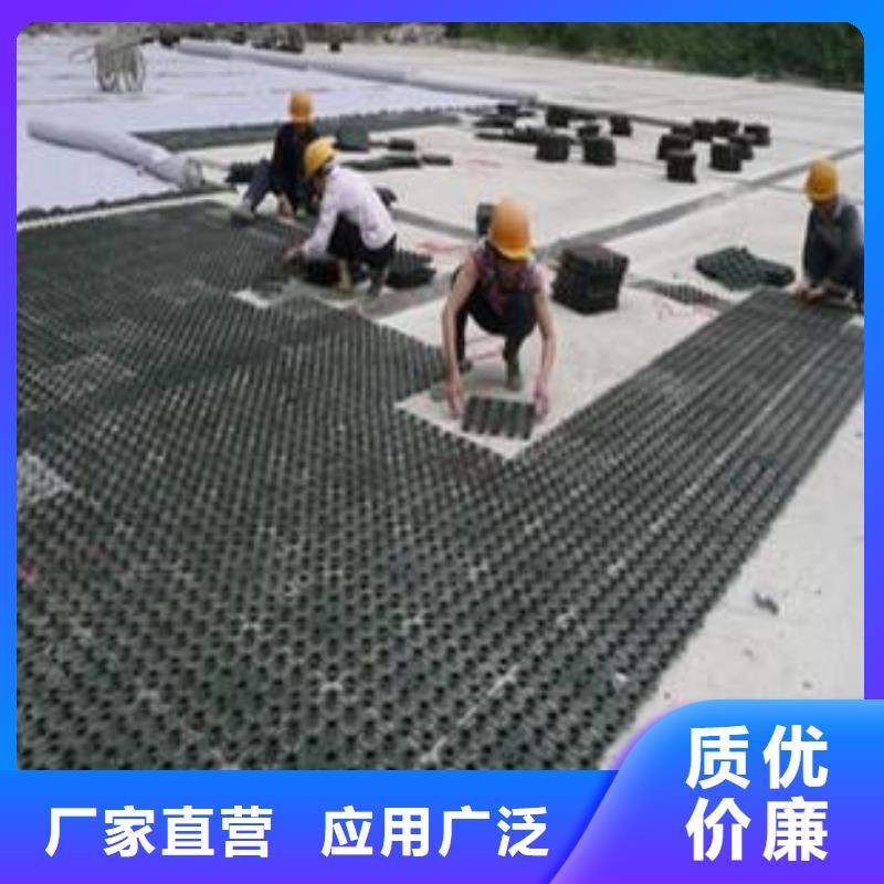 【塑料排水板透水土工布根据要求定制】支持大小批量采购