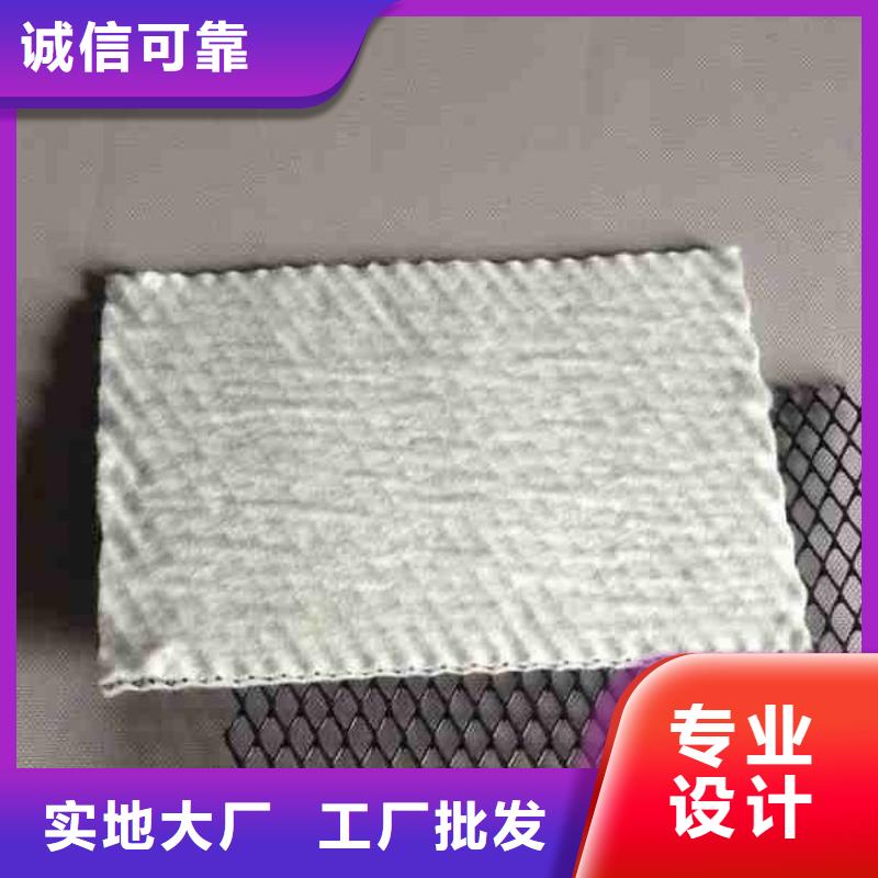 【三维复合排水网】聚乙烯土工膜生产安装{本地}厂家