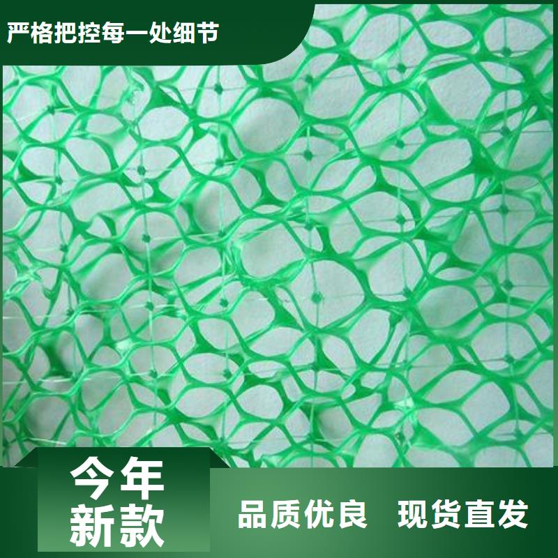 【三维植被网】双向塑料格栅源头厂家来图定制【当地】供应商