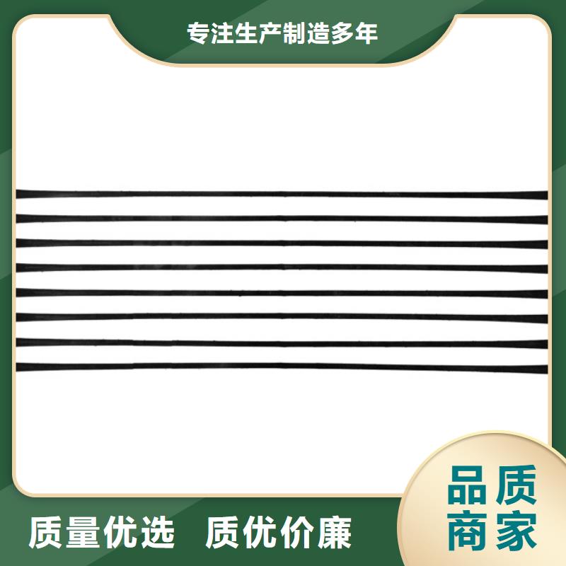 单向拉伸塑料格栅凸结点钢塑土工格栅厂家直营厂家十分靠谱