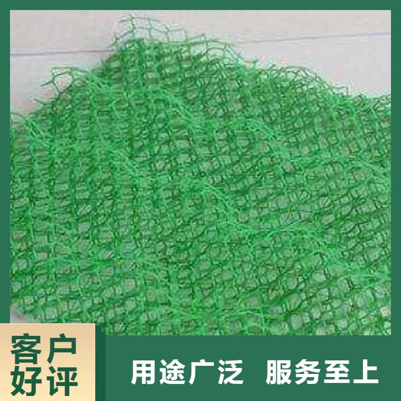 三维植被网【凸结点钢塑土工格栅】品质有保障专注产品质量与服务