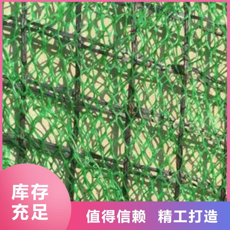 【三维植被网】涤纶土工格栅适用范围广{本地}货源