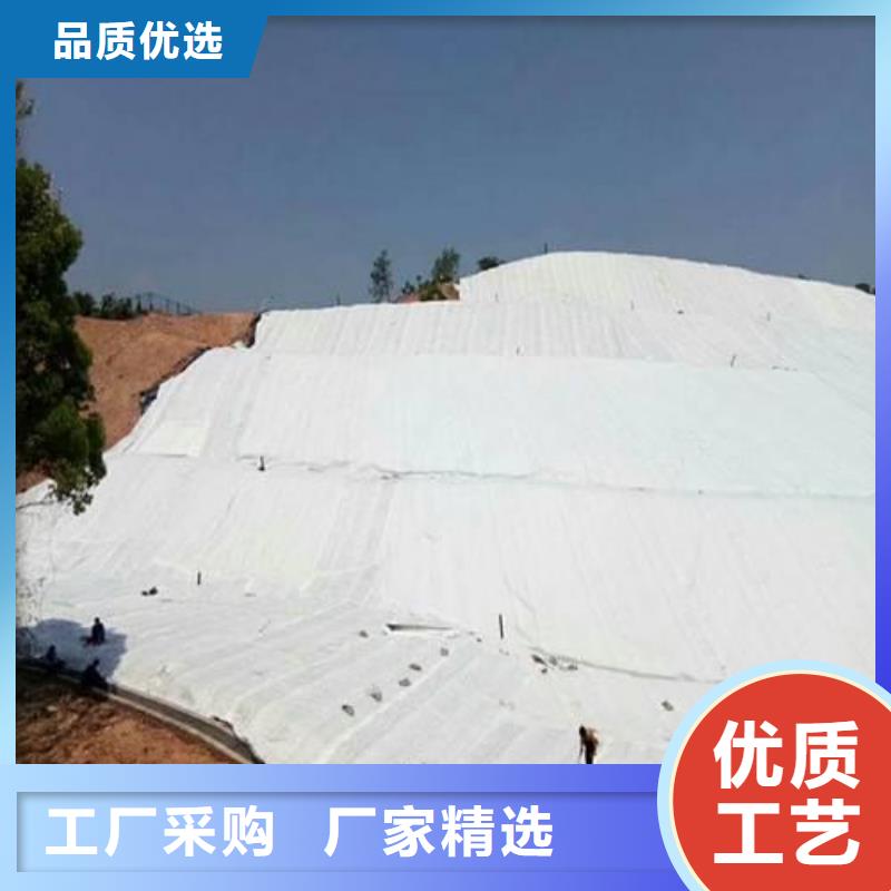 【土工布钢塑土工格栅用品质赢得客户信赖】买的放心