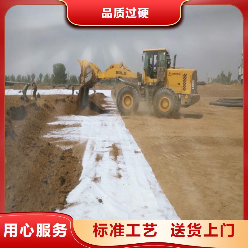 防水毯-长丝无纺土工布市场行情<本地>供应商