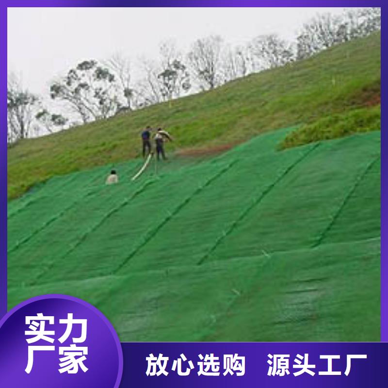 【三维植被网-土工膜质检合格出厂】质量无忧