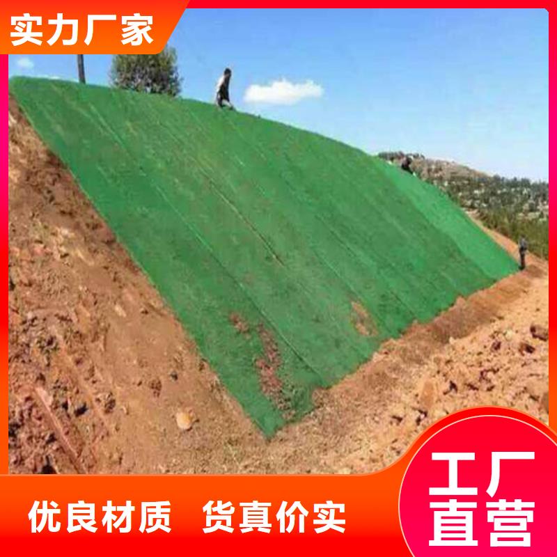 三维植被网,护坡土工网加工定制优质工艺