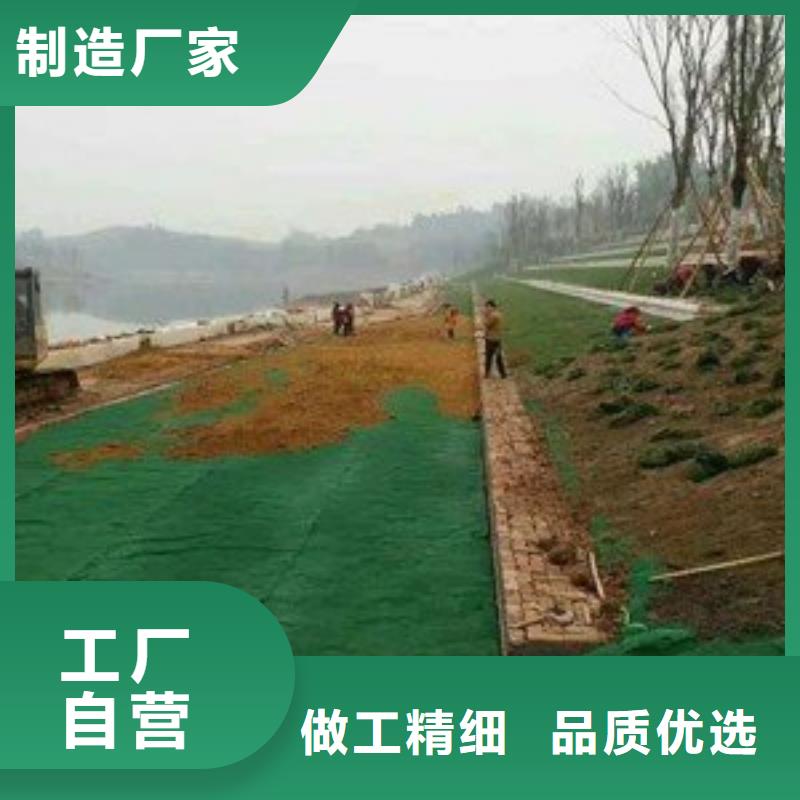 三维植被网双向塑料土工格栅品牌大厂家<当地>供应商