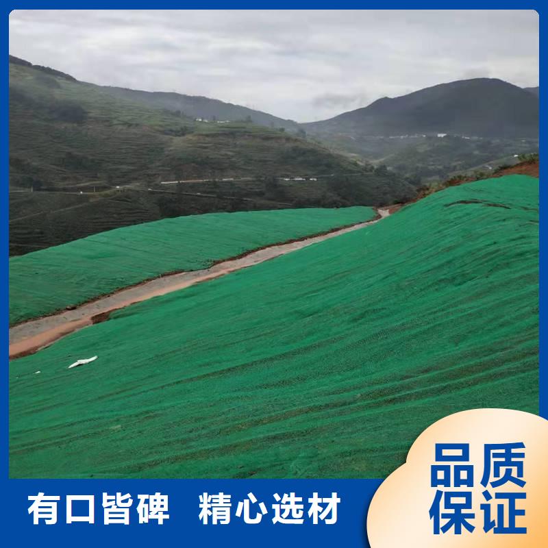 三维植被网钢塑土工格栅厂家质量上乘<当地>公司