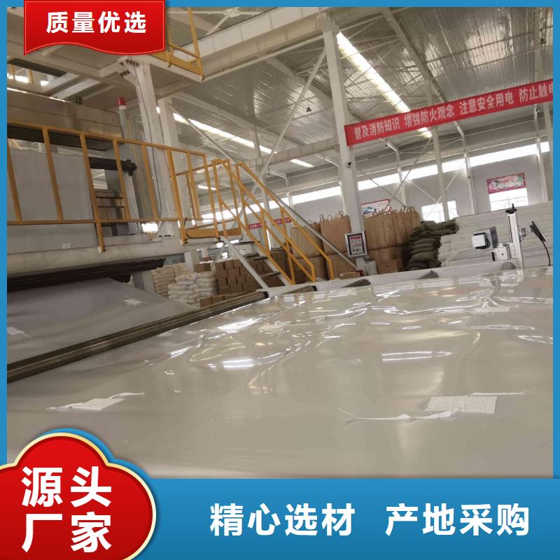 EVA防水板双向塑料土工格栅追求品质产地批发