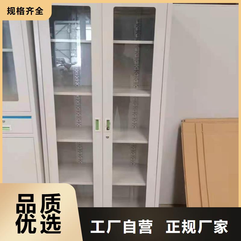 文件柜学校专用档案柜专业生产团队当地品牌