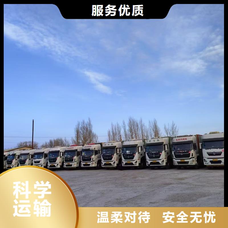 宿迁市泗阳到羊运输专用车有序顺畅满足您多种采购需求