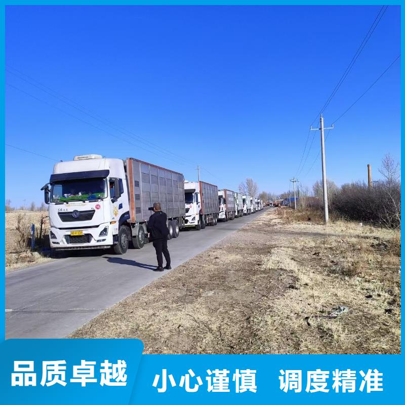 宿迁市泗洪到羊运输实力雄厚物流配送