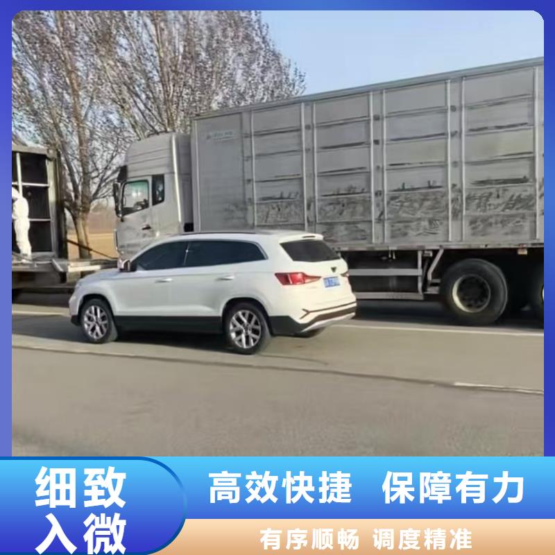 宿迁市泗阳到许昌牛运输专用车周到细致