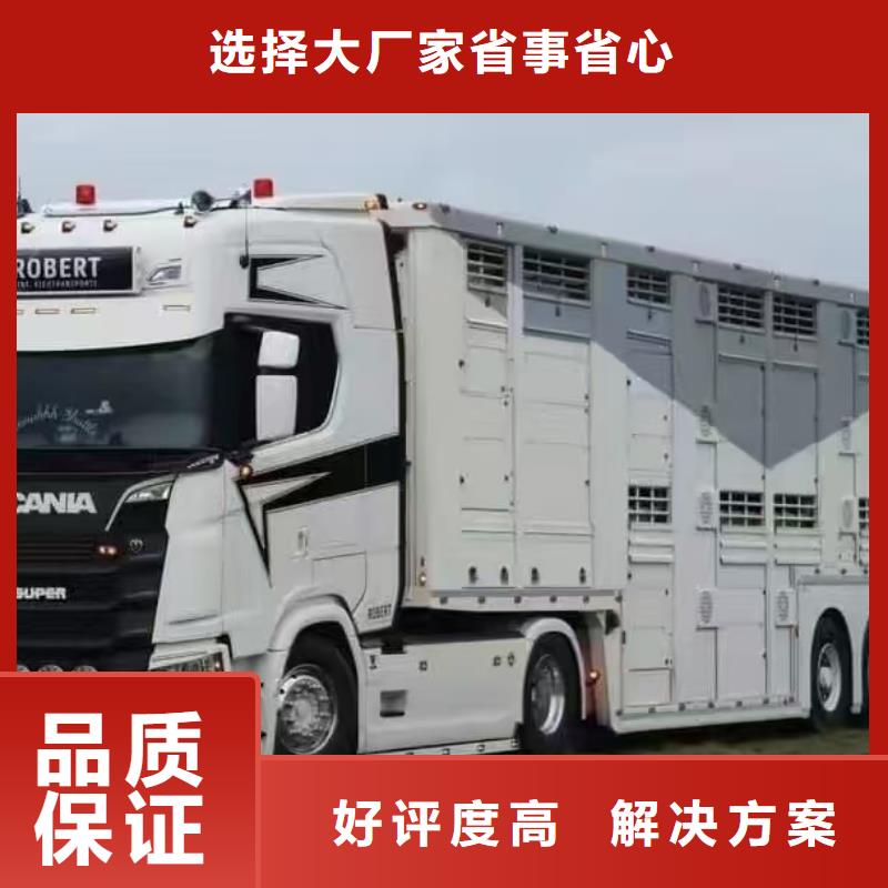 扬州到庆阳猪牛羊运输-专用车讲究信誉