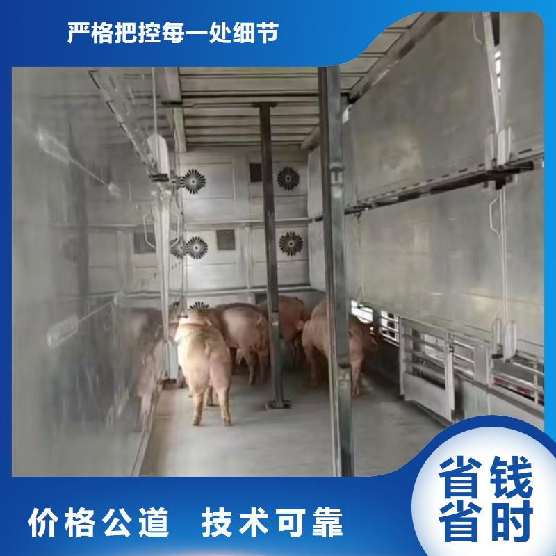 宿迁到铜陵仔猪运输