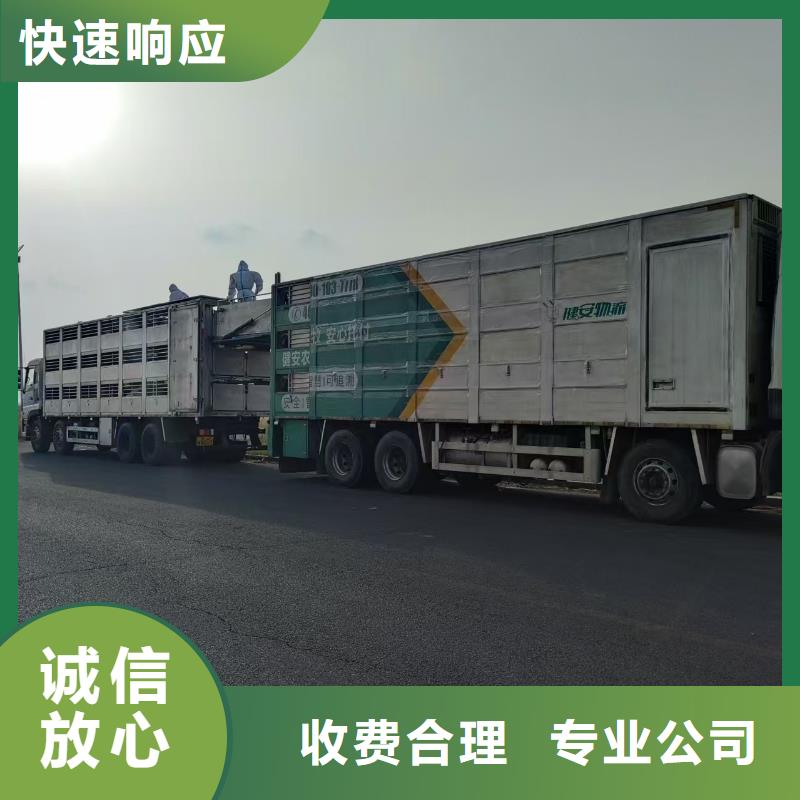苏州到湘潭牛运输-专用车品质卓越
