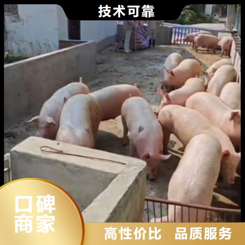 宿迁泗阳到邢台空调车运输-专用车方便快捷