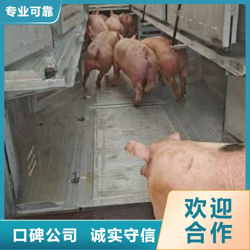 浙江到蚌埠空调车运输