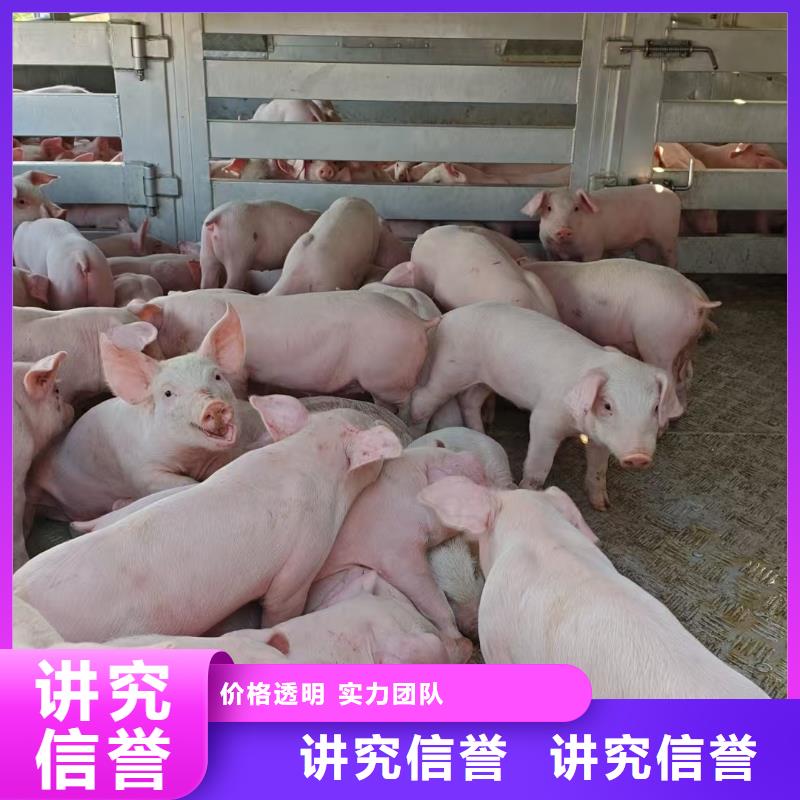 浙江到铜陵二育运输