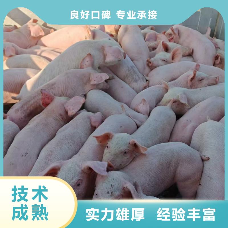 宿迁到四平恒温车运输-恒温车实力商家