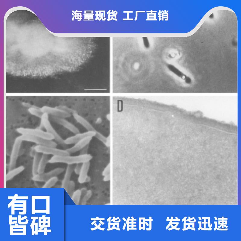 醋酸钠(碳源)批发价【当地】厂家