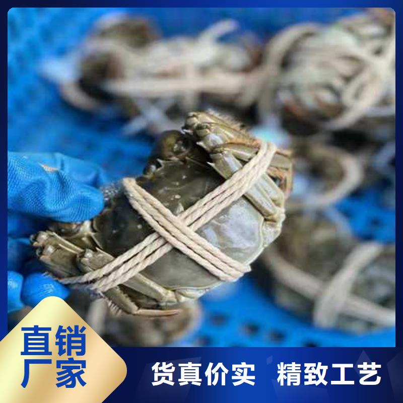 去阳澄湖吃蟹哪里比较正宗在苏州阳澄湖附近货源