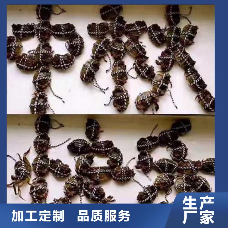 去阳澄湖大闸蟹哪里正宗在苏州莲花岛厂家货源