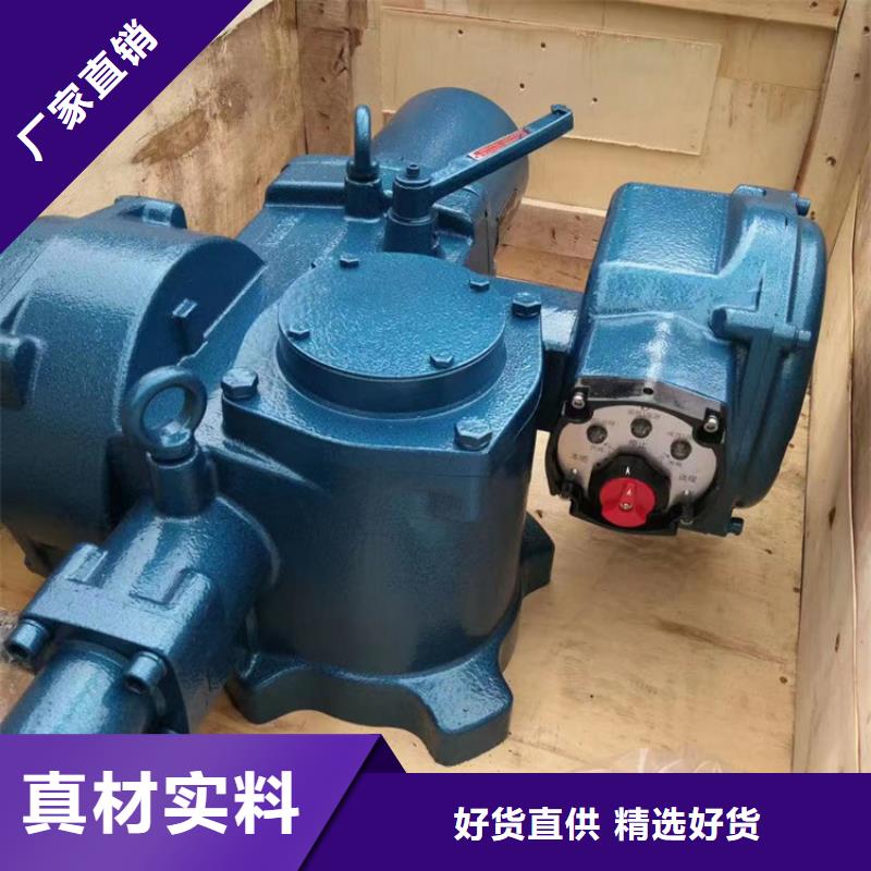 启闭机带遥控螺杆式启闭机助力绿色水利建设商家直供