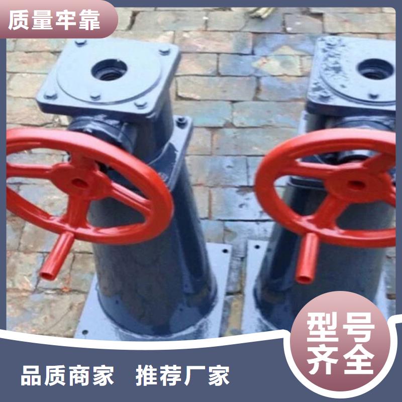5吨直联式启闭机品种多样同城生产商