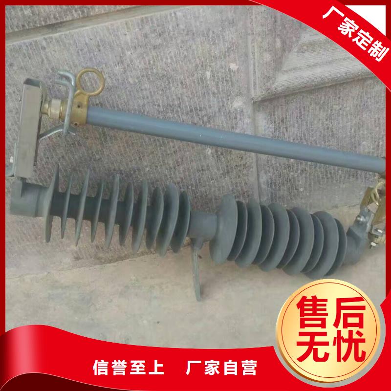 熔断器_三相组合式避雷器本地配送当地品牌