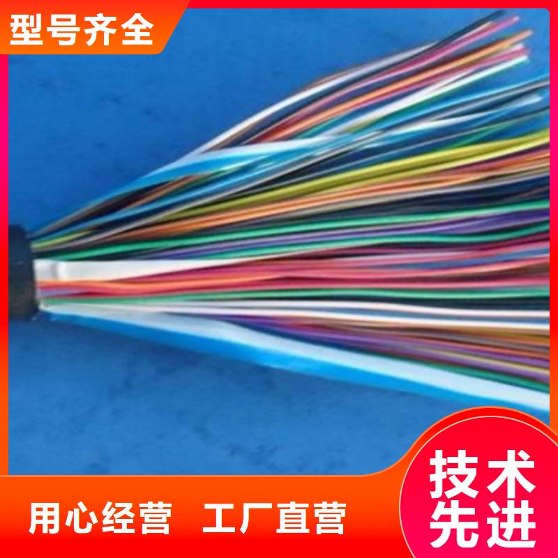 【通信电缆】铁路信号电缆超产品在细节当地制造商