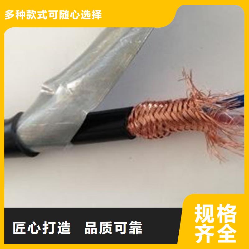 计算机电缆屏蔽电缆支持定制批发当地经销商