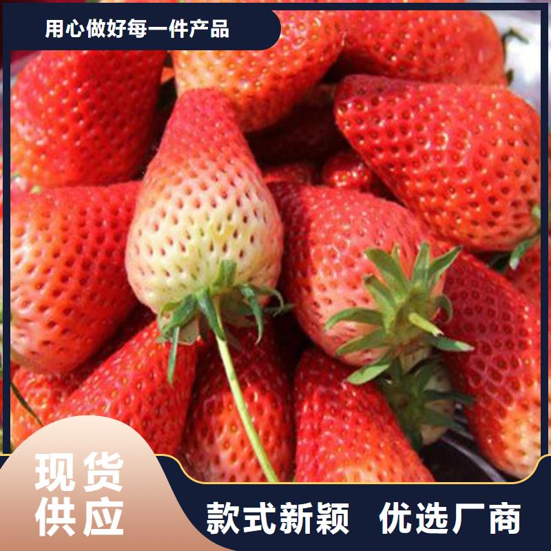 【草莓苗,毛蟠桃树苗基地支持批发零售】同城货源